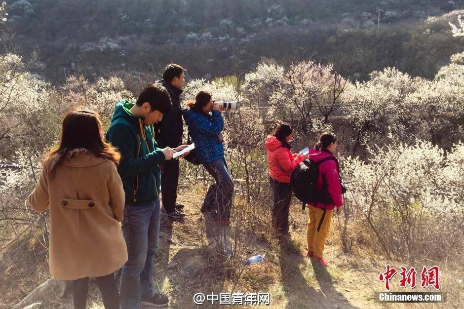 开往春天的列车被发烧友逼停 不让拍