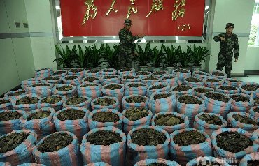 广东查获涉嫌走私穿山甲鳞片1.6吨 案值1280万