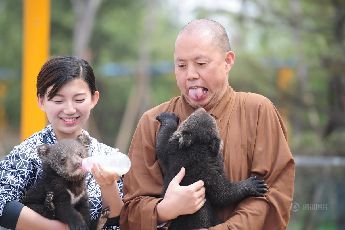 延参法师动物园当保姆 萌态十足