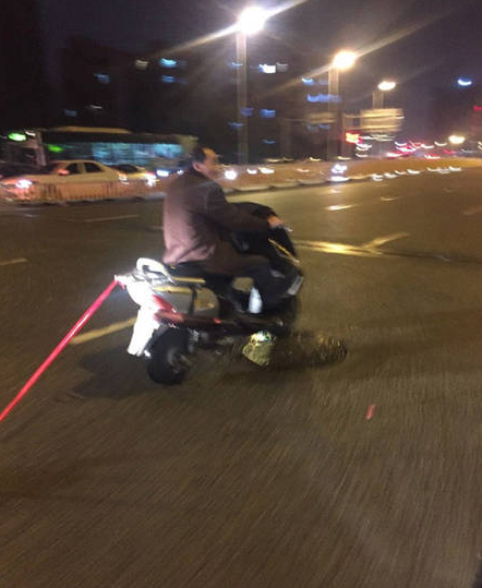 　　据海峡都市报报道，2016年3月24日，福建省福州市新店永辉附近一大爷骑着电动车，后面一根红绳，远看一坨白白被拖着跑，当时还会动，近看才发现是一头猫仔。