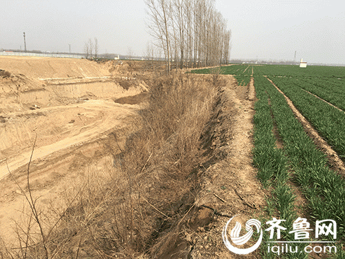 　　坑旁南侧的田地属于张侯村，正在给麦田浇地的几位村民介绍，这处深坑东西长250多米、南北宽50余米、深达30多米。深坑原来是张侯窑厂的取土场，但是当时也只有两、三米深的样子，窑厂不干了以后这里又成了店子镇倾倒垃圾的地方，当时全镇的生活垃圾都向这里倒，还有一些运化学垃圾的车辆也到这里来倒垃圾。村民垫场子盖房子的也在这里挖土，更有从这里取土拉到外面卖土挣钱的。