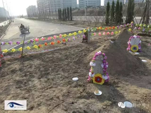 　　近日有人爆料称，北京顺义区李桥镇政府公交车站附近的一马路中间有一大片坟地。坟地主人的后人称，当时没有手续强拆房屋，且补偿款较低，一直没有签署拆迁协议，一直未将红军烈士姥爷的坟墓迁走。