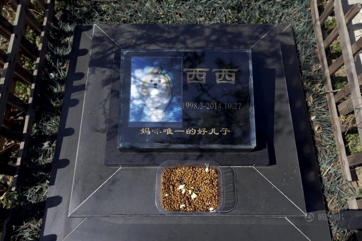 北京市养犬协会提供的材料显示，2013年北京犬只数量应该有200万只左右。如今的中国，养宠物已成为富裕的象征。这也是为什么，当地在近年来冒出宠物墓地的现象。