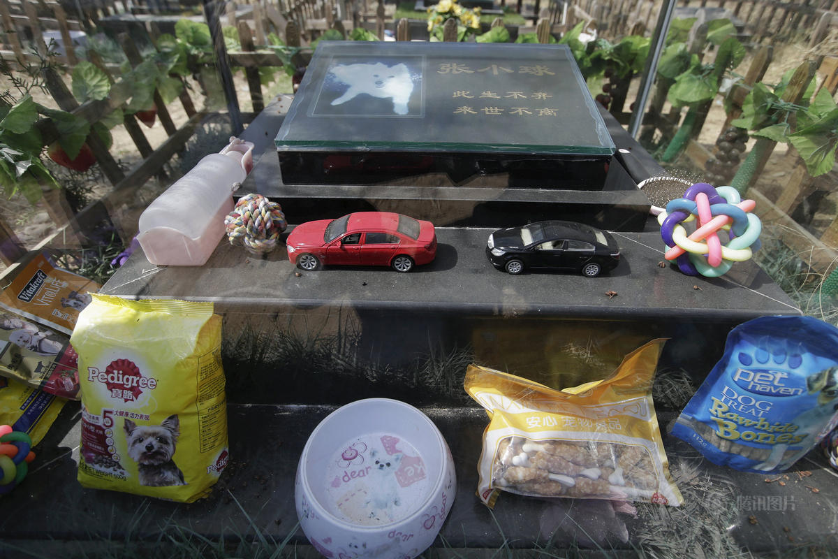 主人带来各种玩具，希望爱犬在天国幸福开心。