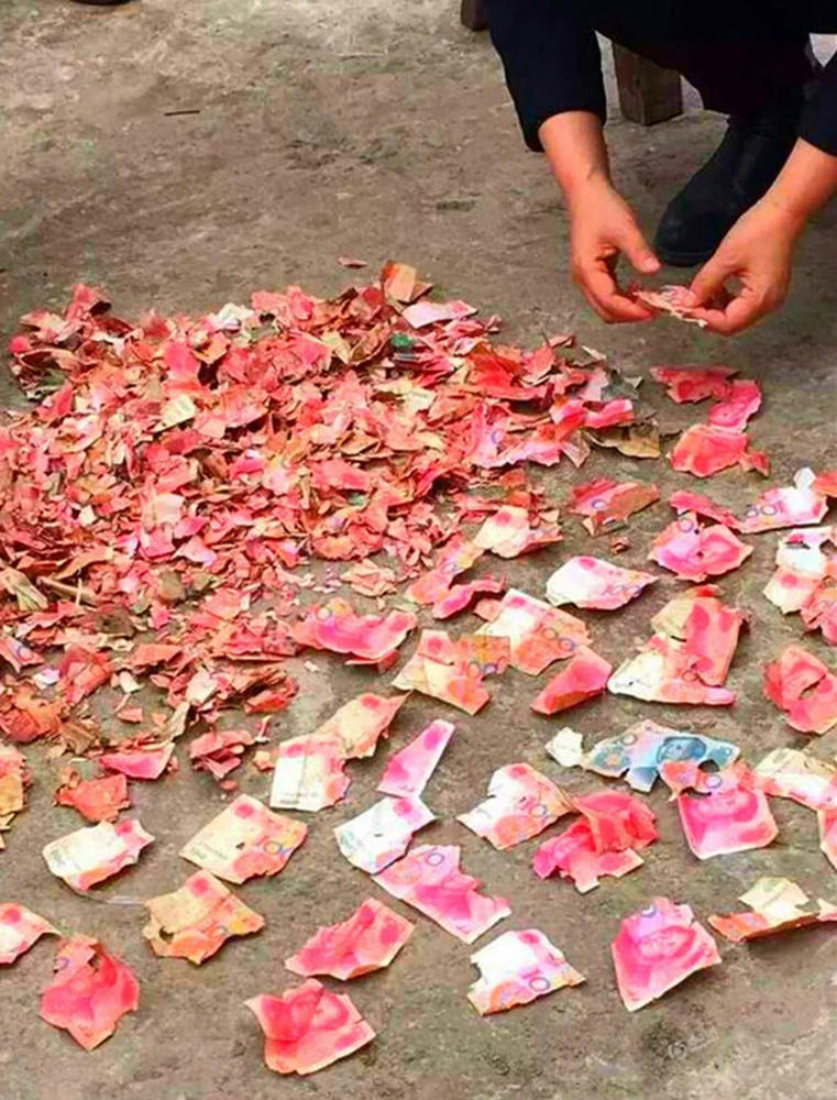 被老鼠咬烂的现金。