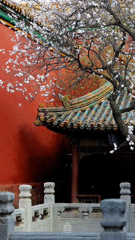 3月31日上午，@故宫博物院 发布了一组春景图。“三月三十一日，仲春。此时的杏花，占尽春色。数重冰绡轻著胭脂，十里春风吹作雪……”，网友评论称：又有屏保了！