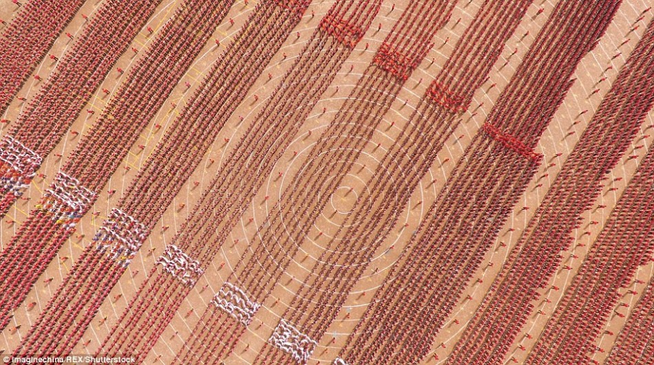 “春训”是少林塔沟武术学校每年春季开展的一项强化训练活动，旨在提升学员的耐力和竞技状态。
