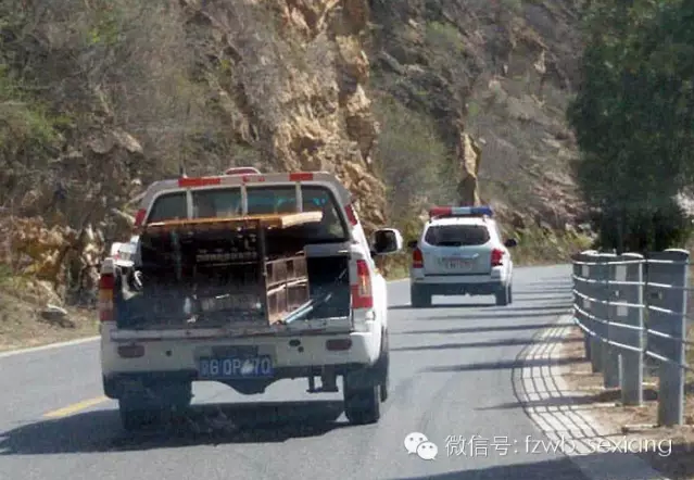 　　上山抓捕的车队。