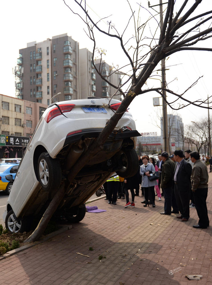 　　据现场市民介绍，当时一名女司机先误把刹车当油门，先与一辆电动车相碰，继而一下子将车倒在道路一旁的树上。