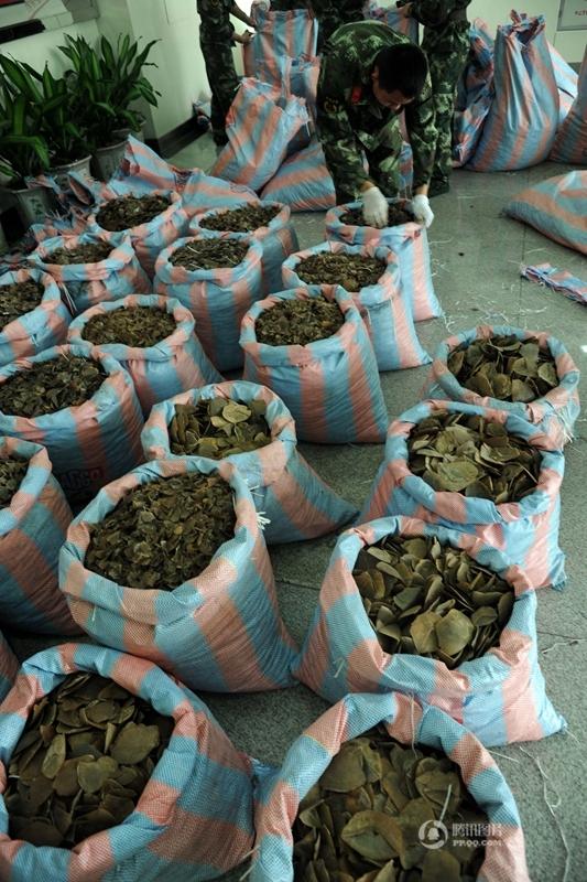 涉嫌走私人员驾艇向外海逃脱失败后，又掉头冲向内河涌，最终在离岸边约30米处弃艇跳水逃窜。边防执勤官兵追上快艇后，也跳进水中继续追赶嫌疑人。经过约20分钟的拉网式搜索，至4月11日凌晨，抓获涉嫌运输走私物品人员1名。