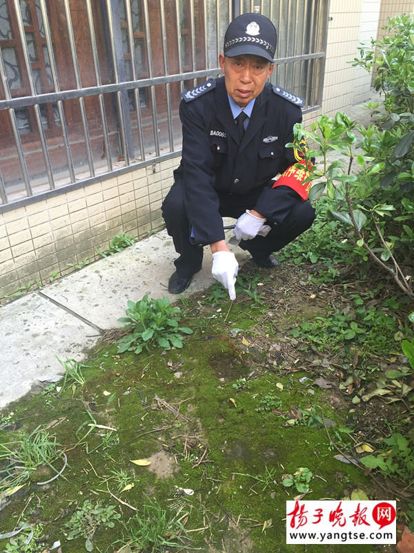 　　据琪琪妈妈回忆，孩子摔下时，被七楼的晾衣杆拦了一下，又恰巧坠落在绿化带上，而此前一天，常州正巧下了雨，土地比较松软。“如果琪琪坠落的地点再偏差十五公分，就是小区的水泥路面，可以说是不幸中的万幸。”图为救人保安说当时孩子脸把泥地砸出了个坑。