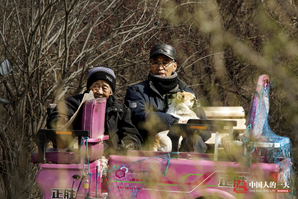 　　老两口居住电厂小区里的街坊邻居们最羡慕这对“白金婚”眷侣。