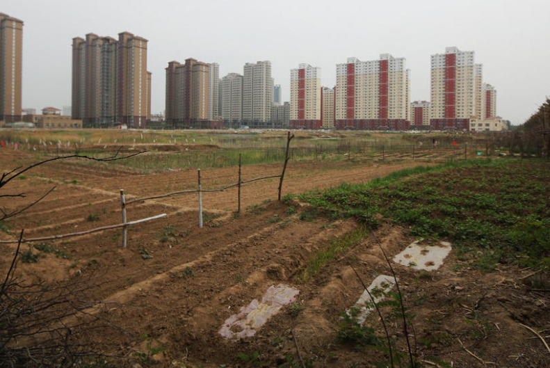 　　2016年4月27日，山东省滨州市，高楼林立的繁华城区，透过路边茂密的绿化带，人们惊奇的发现，这里竟然隐藏着一块繁荣的“绿洲”。
