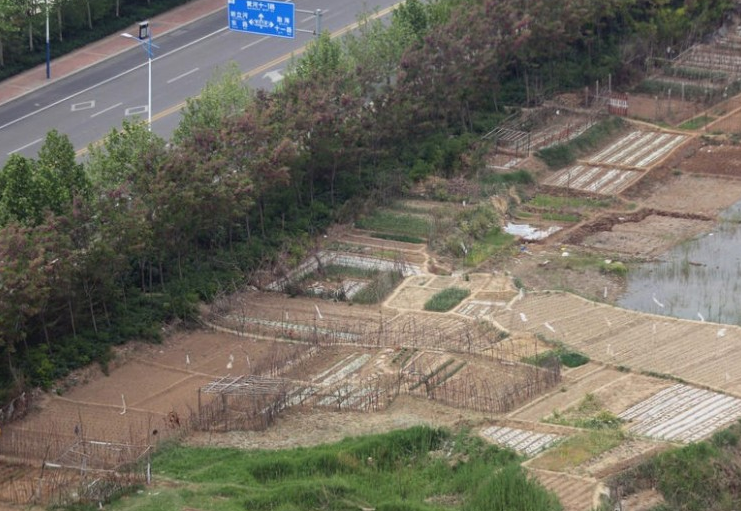 　　从高空俯瞰，这是一块三面被高大楼盘包围着的闲置地，建筑垃圾正在慢慢的蚕食着这块土地。一些市民正在从被建筑垃圾包围着的土地上垦荒。