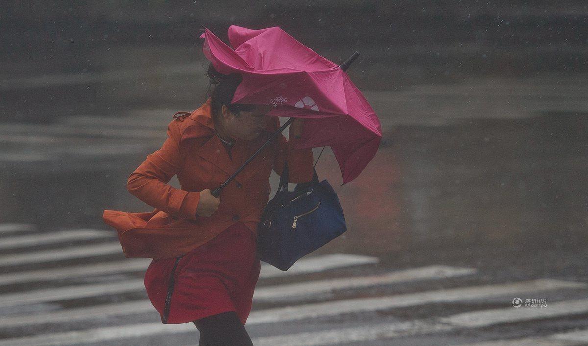 　　狂风大作让人们的出行雪上加霜，街头无数行人的雨伞被吹翻。