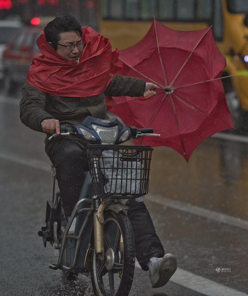 　　被吹折的雨伞。