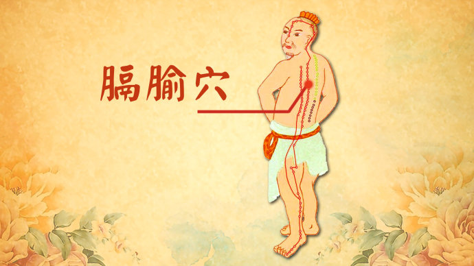 2016年5月6日播出《携手京津冀 <wbr>健康中国行—盘山脚下通经络》
