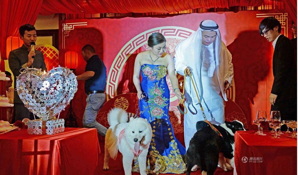 新人牵着狗狗出席婚礼晚宴。