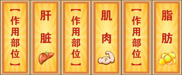 2016年5月11日播出《躲在肥胖背后的致命危机》