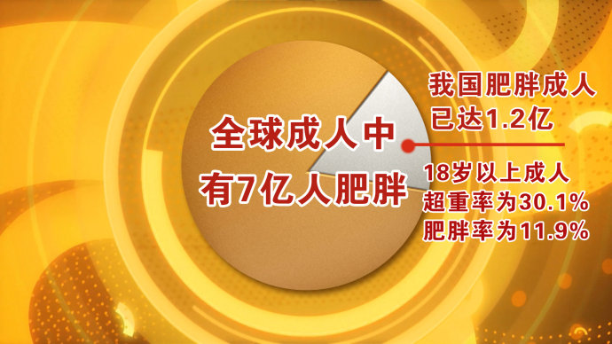 2016年5月11日播出《躲在肥胖背后的致命危机》