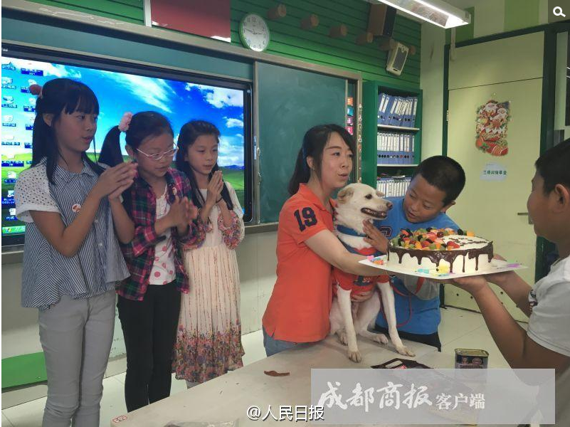 “祝你生日快乐，祝你生日快乐……”今（13）日上午最后一节课，五年级3班传出阵阵《生日歌》，“校草”喜乐身着一套喜庆的红色衣服，在同学们的簇拥下被老师牵进教室。首先一段微电影回忆了喜乐三年来校园生活的点点滴滴：来到校园后，同学们为它取名“喜乐”。