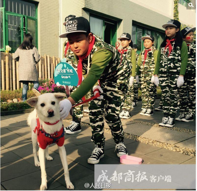 于是，蓝继红答应了同学们的请求，并同意由发现它的当时的二年级3班来主要照顾喜乐。然而，“陪伴一个生命的成长却不是一件容易的事情”。来到学校两、三个月后，意外情况便发生了。
