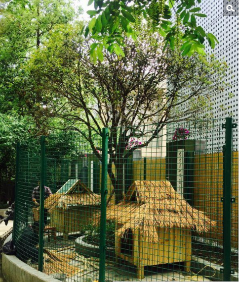 喜乐因犬细小病毒的感染，生了重病。为了救活它，蓝继红四处为它寻找宠物医院，老师和同学们放学后也去医院轮流照顾它，他们还为喜乐发起了捐款。“当时我们收到了6000多元的捐款，治病花了1500元，剩下的钱，我们成立了喜乐基金，用于它以后的各种日常开销。”五年级3班班主任朵朵老师介绍说，在同学们的精心照料下，喜乐最终恢复了健康。图为“喜乐”的别墅。