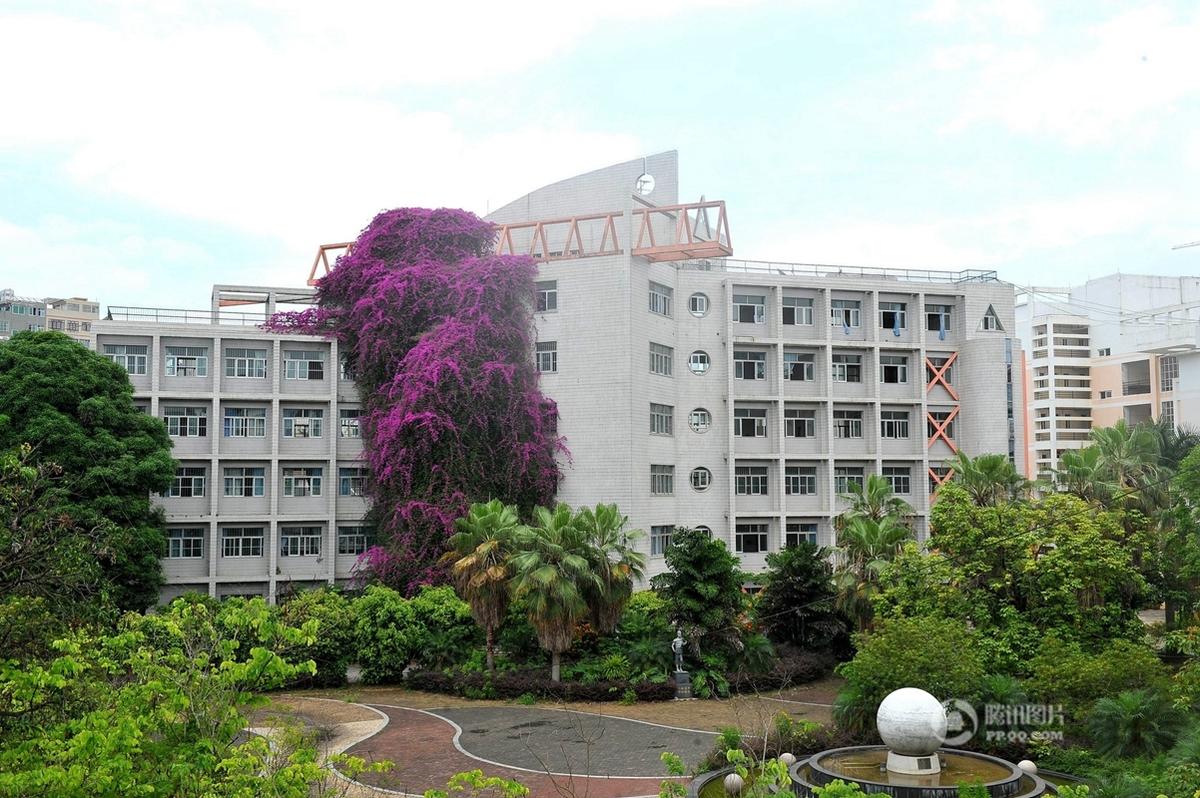 　　图为学校的“鲜花瀑布”。