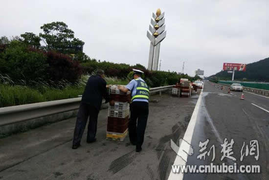 　　高速警察每次遇到类似报警，都会第一时间赶到现场，防止哄抢。下午1时许，撒在高速路上的小龙虾被清理干净后转运。经过清点，大部分小龙虾保住了。
