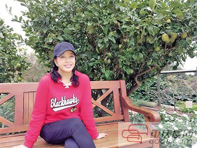 刘晓庆