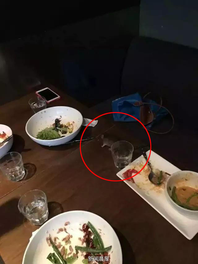 　　“她一声尖叫，老鼠被她甩了出去。”李先生说，被甩出去的老鼠趴在顾客的餐盘上呆了几秒钟，才想起来开始逃窜，后来被店员打死，“老鼠的内脏都溅出来了”，而那名直接被老鼠砸到的女同事更是到厕所间连续呕吐了两三次。