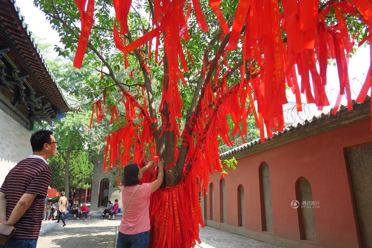 　　5月29日，河南郑州，高考在即，人们来到郑州城隍庙、文庙为参加高考的学生进行祝福、祈祷，两座庙宇中的树和墙壁挂满了承载着人们心中愿望的红布条和木板。