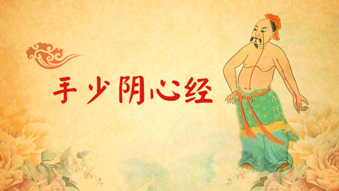 2016年6月8日播出《护好心脏的平安“络”—2》