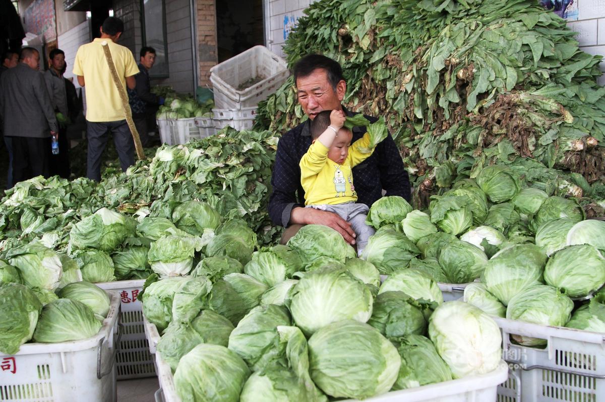 大量蔬菜堆积，无人问津。