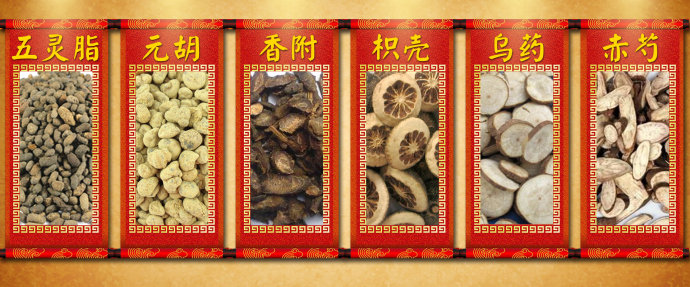 2016年6月23日播出《长寿名医话养生》