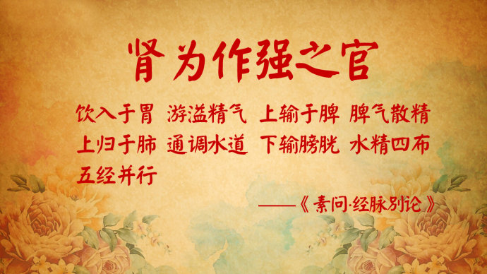 2016年6月24日播出 <wbr>《长寿名医话养生—张炳厚—1》