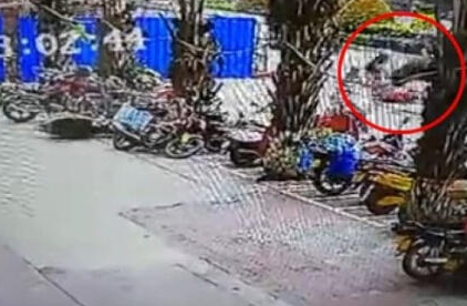 　　水牛在马路上不停打转，车辆被迫停驶，一名骑红色电动车的女子被水牛连车带人掀翻，女子遭牛角多次顶击并一度被抛向空中。发疯的水牛随后又跨过倒地的女子冲向一辆皮卡。