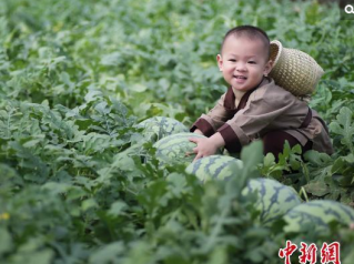 这个＂瓜娃子＂要火!2岁萌娃吆喝自家西瓜