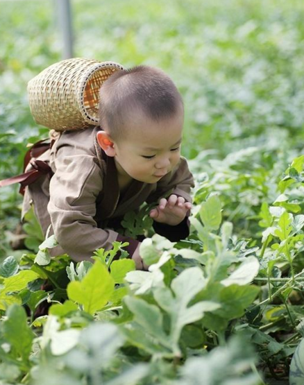 　　照片一出，网友觉得这孩子蠢萌蠢萌的，还给他取了个名字#最萌瓜娃子#，更有眼尖的网友发现，这不就是同款的宋民国吗？