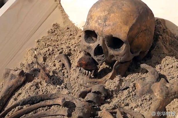 近日，波兰一家博物馆展出了一具16世纪的“吸血鬼”遗骸，专家称从其下葬的状态判断，很可能是被当时人认为是“吸血鬼”，遗骸口中含有石块，腿部还插有一根木棍。专家认为，石块是为防止其咬人，木棍则是为阻止其从棺材中逃跑。