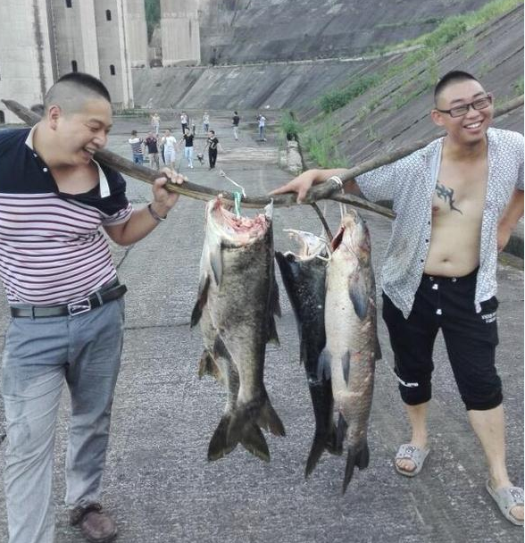 　　记者了解到，7月2日下午4时许，根据国家、省防汛指挥部的指令，隔河岩水电站大坝开启闸门泄洪。瞬间，巨大的水流以每秒4000立方米的速度冲从泄洪深孔奔腾而下。长阳县城民众闻讯而来，目睹泄洪时的壮观景象。