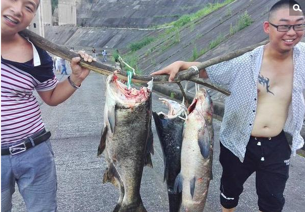 　　洪水奔流而下的同时，很多上游的大鱼被冲了下来！转瞬间，清江河里出现很多漂浮在水面的大鱼。这下可把周围的民众乐坏了，大家纷纷下河打鱼上岸，三三两两地把大鱼扛回家。