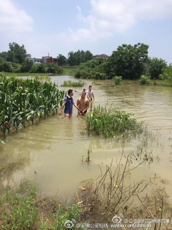 7月8日，安徽芜湖无为刑侦大队获得重要线索，副大队长洪云生带领梁建飞、葛瑞毓、郭守亮、张腾赶往现场摸排，刚接近车间院门口时，一男子夺门而入，一路狂奔扎进路边水中，民警不顾个人安危，直接跳入3米多深的水中，追了两百米将其擒获。