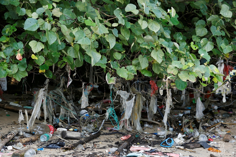 报道称，环保署留意到在6月中旬珠江沿岸省市出现严重暴雨及洪水，水灾或将垃圾冲到大海，并经由西南季候风及海流漂到香港。类似情况曾在2005年发生，当时内地出现洪水，香港多个海滩及沿岸地区亦发现大量垃圾及废屑。