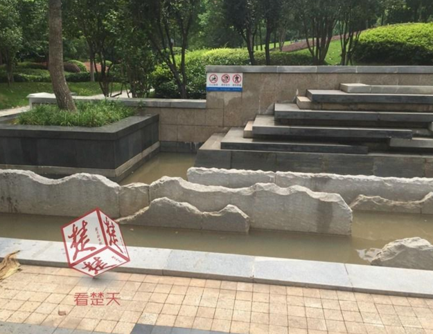 　　这究竟是怎么一回事？记者就此来到万科魅力之城南区，刚进入大门就看到了视频中的景观池。该池子面积很小，水不过30厘米深，确实比较浑浊，还有人在此洗电动车。多名在景观池附近带着小孩散步的家长称，他们也看到了这段视频，但并不认识这名女子。他们称，池水蛮脏，是不会把自己小孩放到水里玩的。