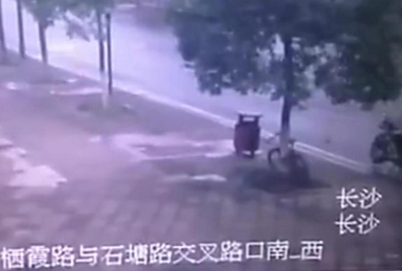 　　凌晨，一名环卫工在长沙县西霞路石塘路口清扫卫生时，发现有棵香樟树被锯断。相关部门调取监控发现，是一名男子为了取走锁在香樟树上的山地车，将树拦腰锯断。监控显示，8日早上5点半左右，一名身穿短衣短裤的男子骑着摩托车出现，男子将摩托车停稳后，手拿钢锯站在香樟树旁，开始动手锯树，锯了几下后离开现场。
