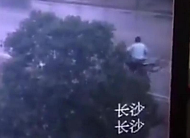 　　长沙县行政执法局执法员称，“被锯断的香樟树大概长了五六年时间，价值在1000元到2000元。”山地车被男子带走后，暂时没有车主向警方报案，目前还不清楚男子的身份。不过，男子的做法已经涉嫌破坏城市绿化，将依法追究男子的责任。他们已经向辖区派出所报案，警方也已做了笔录。