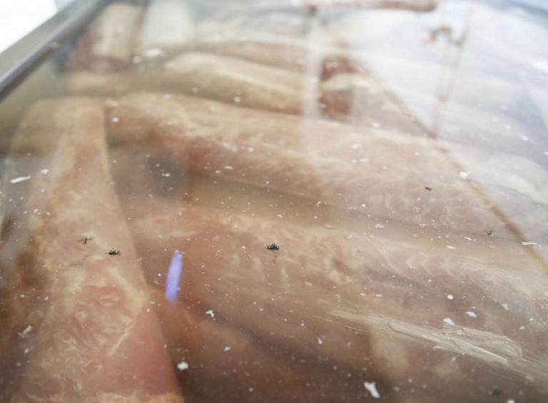 　　爆料人张海所称注水机器就在这个操作间内，上面显示“盐水注射机”字样，机器下方是一排针孔。张海称，这就是该公司负责人购置的注水机，将三聚磷酸钠、卡拉胶、901保水胶、淀粉等稀释后高压注入肉中，卡拉胶和901胶能保证水分即使是在烤制的过程中也不外泄。