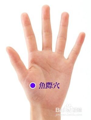秋季养生要养肺，教您几个小知识