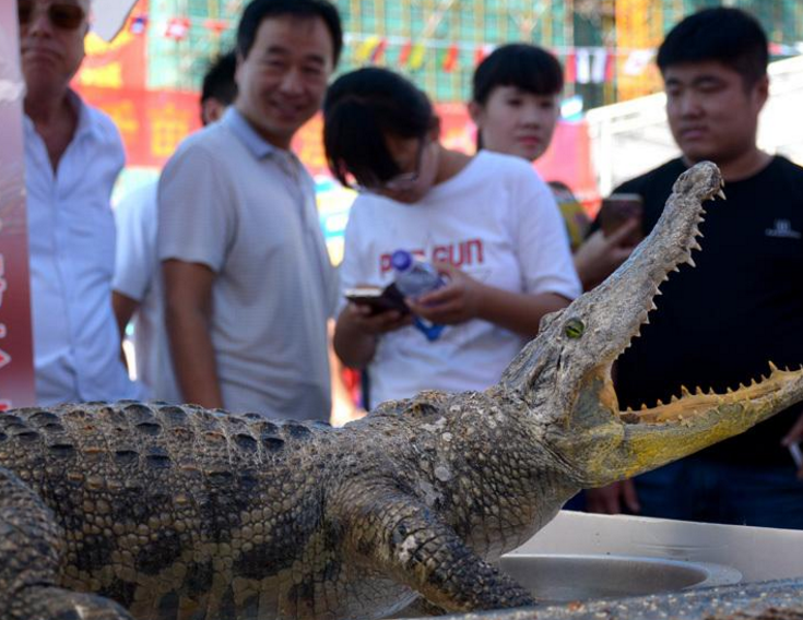　　图为围观的市民。